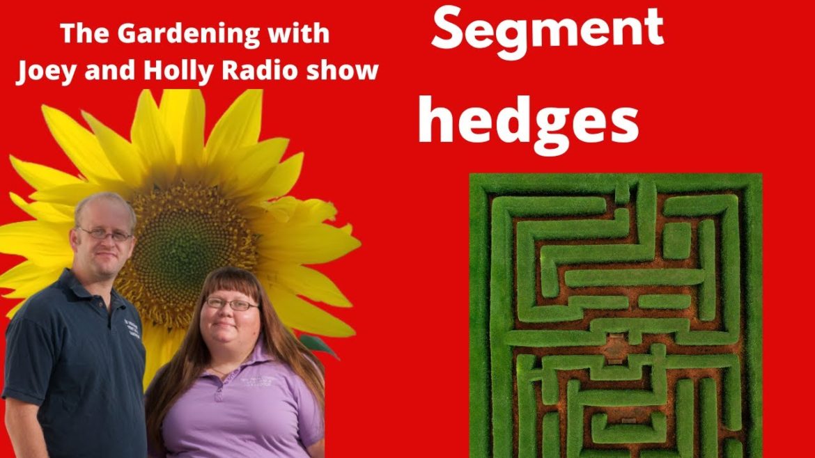 Segment 1 of S6E32 Why hedges - The Gardening with Joey and Holly Radio Show