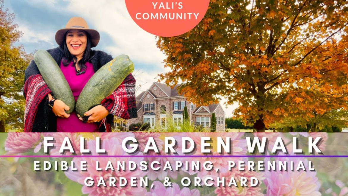 Fall Garden Walk - Edible Landscaping, Perennial Garden, & Orchard // SUBSCRIBE, LIKE, SHARE! 💚