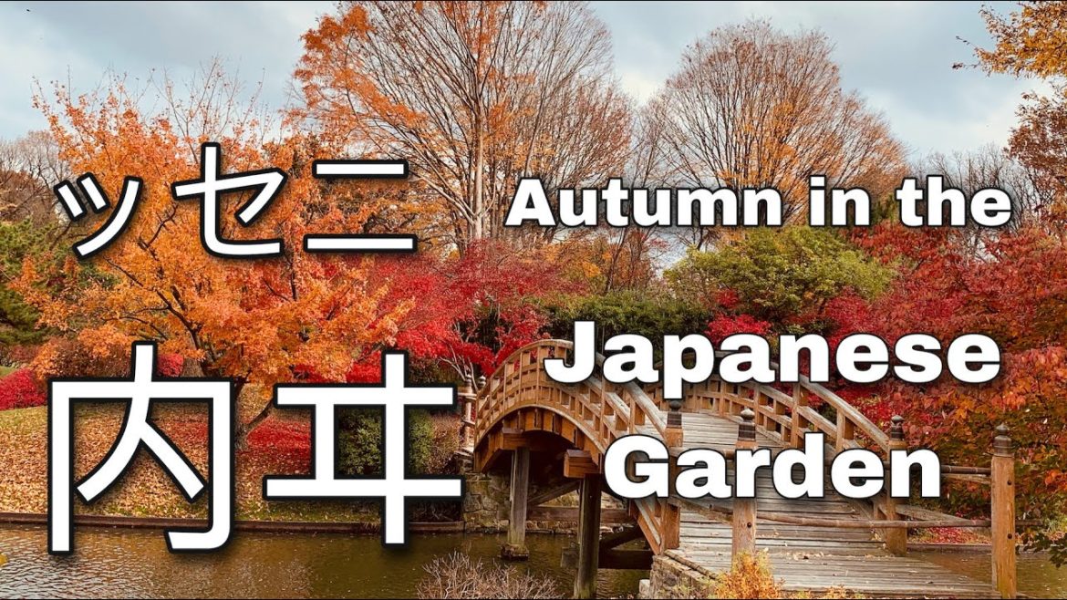 Japanese Garden in Autumn at Missouri Botanical Garden (2020)
