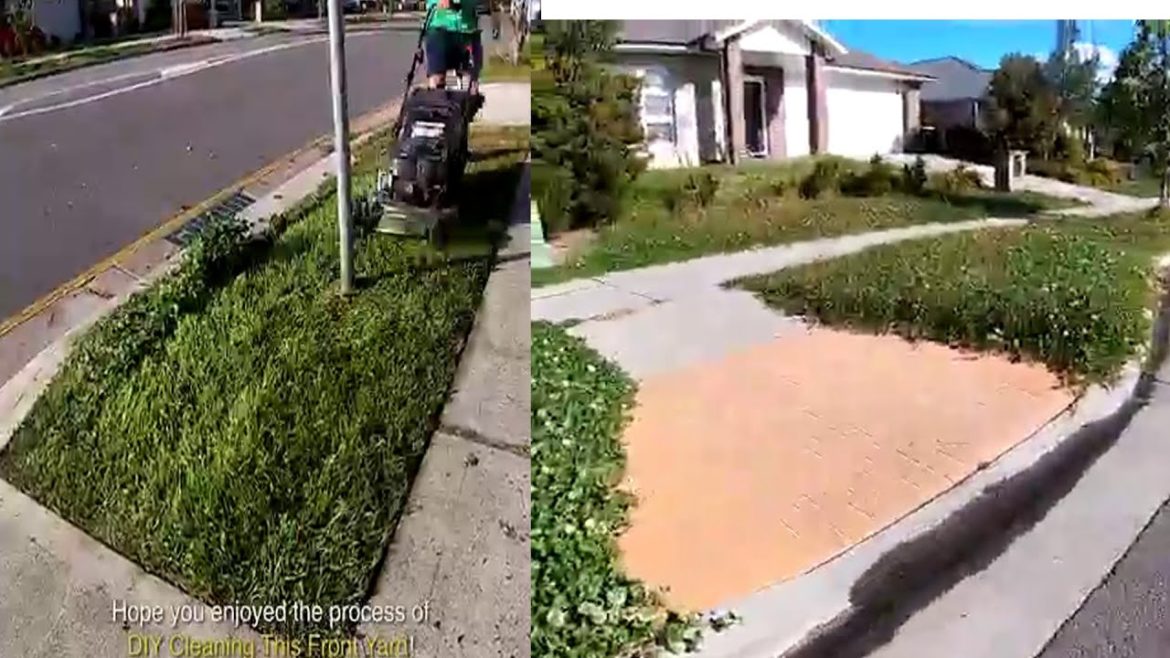 Disabled woman SHOCKED. cleaning the front yard MAKEOVER! OVERGROWN landscape before and after#2022 Disabled woman SHOCKED. cleaning the front yard MAKEOVER! OVERGROWN landscape before and after#2022