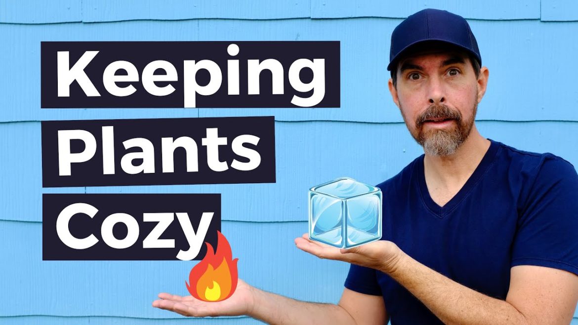 TIPS FOR TEXAS WINTER GARDENING ZONE 8B TIPS FOR TEXAS WINTER GARDENING ZONE 8B