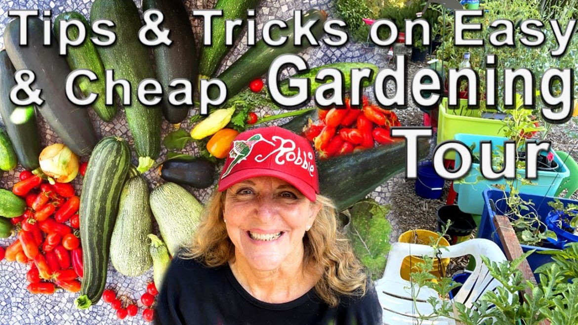 Vegetable Garden Tour 🍅 EASY Container Garden & Vertical Gardening Tomatoes Watermelon Fall Planting