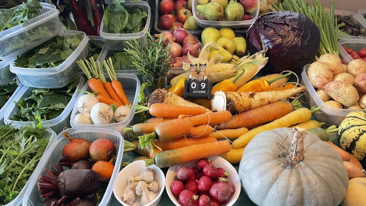 The gardening week | busy planting and harvesting