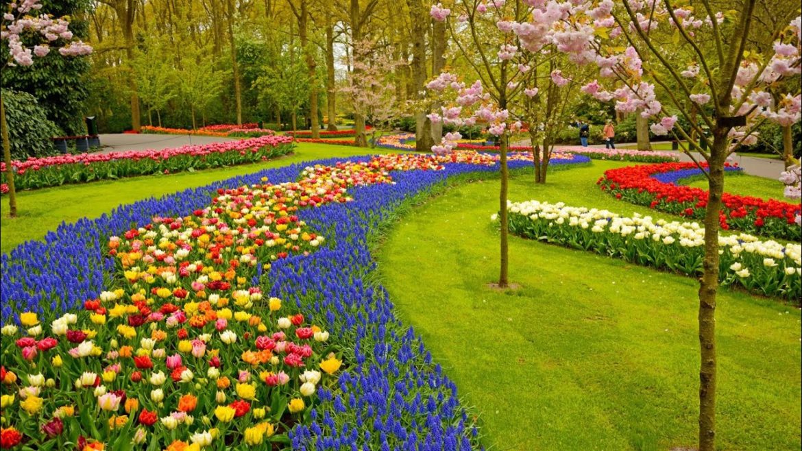 Come and help me in gardening.,.🤪 Come and help me in gardening.,.🤪