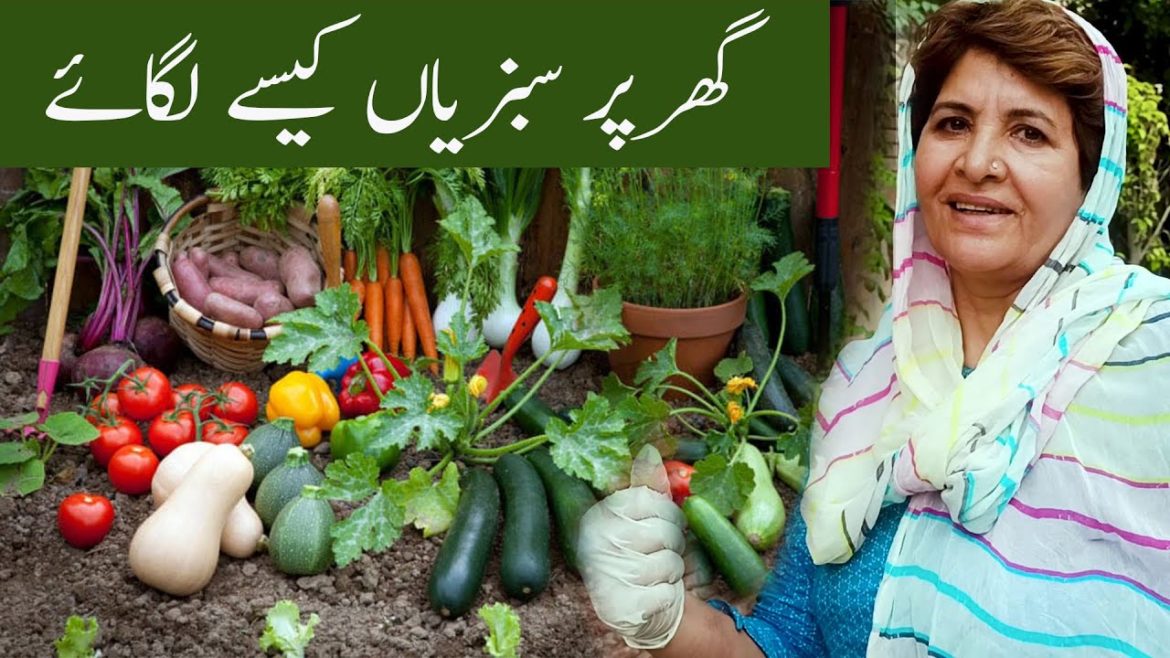 Home Garden | Amazing Idea How To Grow Vegetable  at Home | home garden arrangements