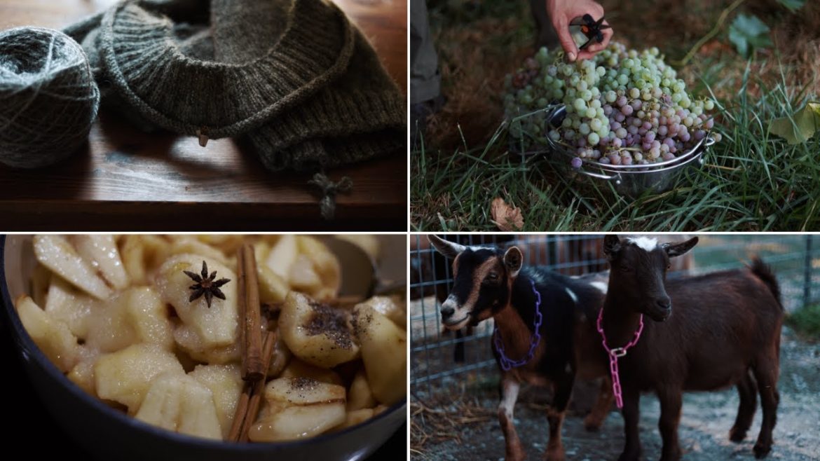 Warm October in the PNW: Birthday Knitting for Matt + Still Harvesting & Preserving the Garden Warm October in the PNW: Birthday Knitting for Matt + Still Harvesting & Preserving the Garden