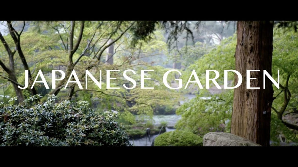 JAPANESE GARDEN 4K - JARDIN JAPONAIS - ZEN GARDEN - CINEMATIC GH5 FILM 2021 Garten, 日本庭園 TATTON PARK