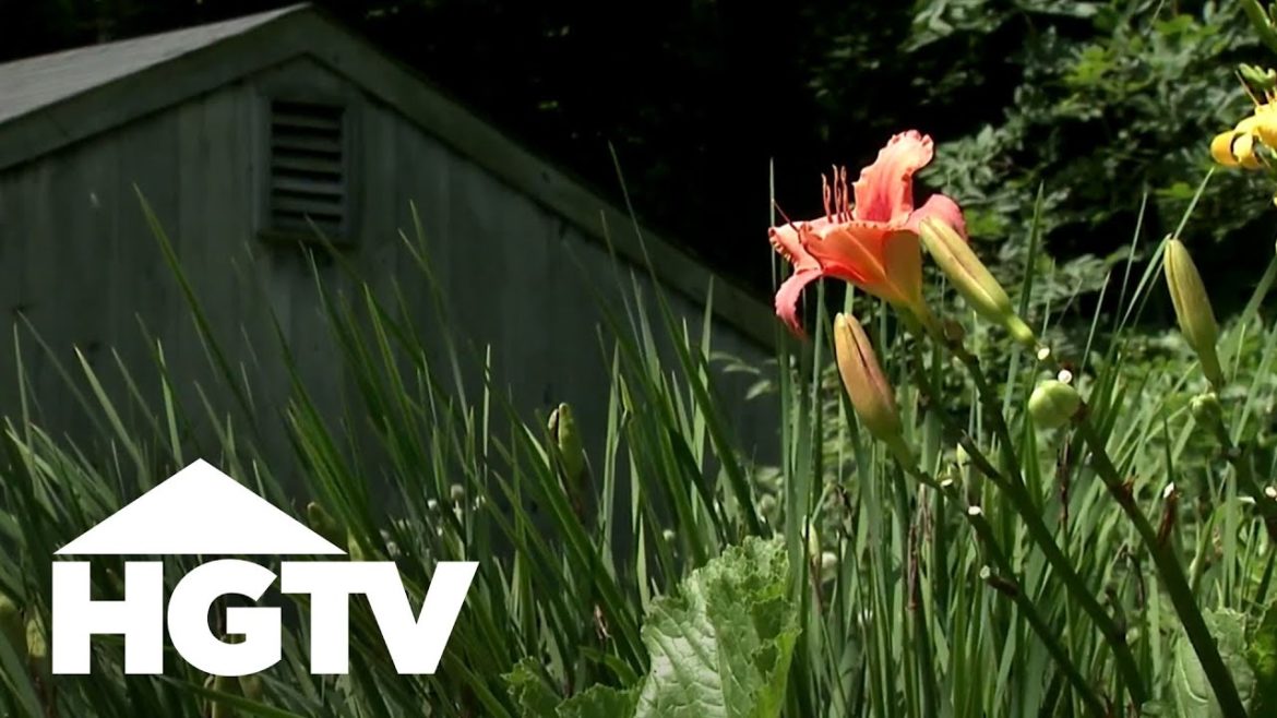 Grow a Perennial Flower Garden | Gardening Tips | HGTV Grow a Perennial Flower Garden | Gardening Tips | HGTV