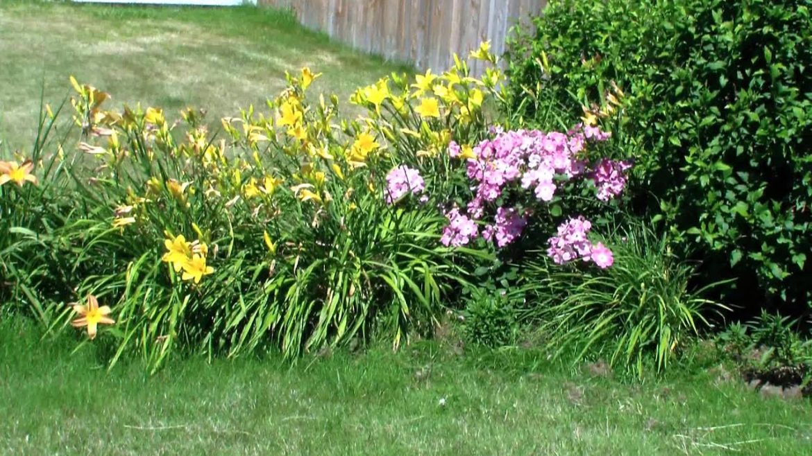Pacific Northwest USA-Master Gardeners series - FRONT YARD-Garden Tour 6/28/13