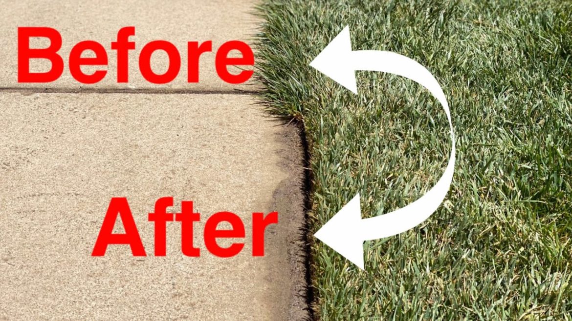 How To Have CLEAN and CRISP EDGING in a LAWN  | CONCRETE and ASPHALT