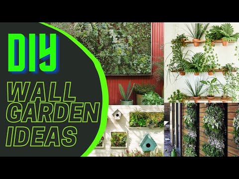 This simple indoor garden Idea is a great way to add some green space to your home! This simple indoor garden Idea is a great way to add some green space to your home!