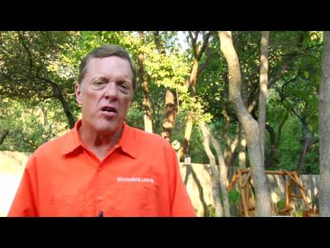 Gardening Tips : How to Grow Oleander Gardening Tips : How to Grow Oleander