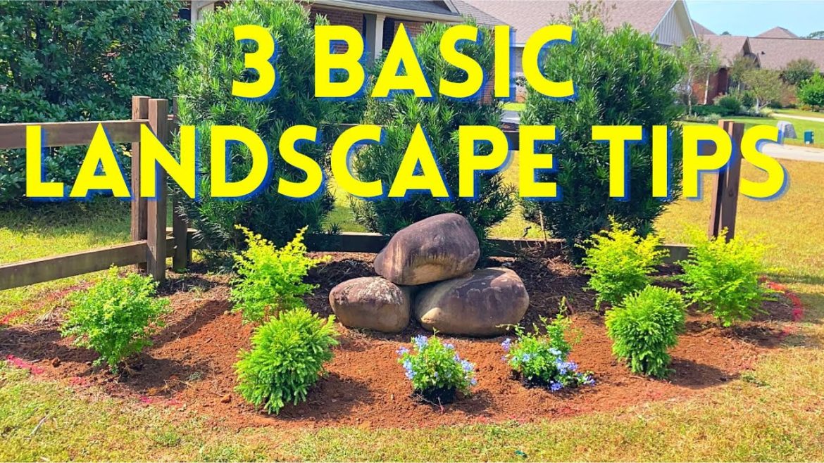 (Beginner) Landscaping Tips (Beginner) Landscaping Tips