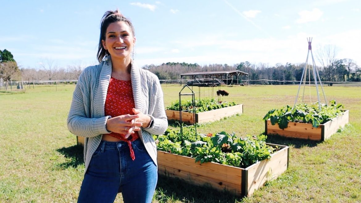 Winter Garden Tour: 1| 2022| North Florida Gardening