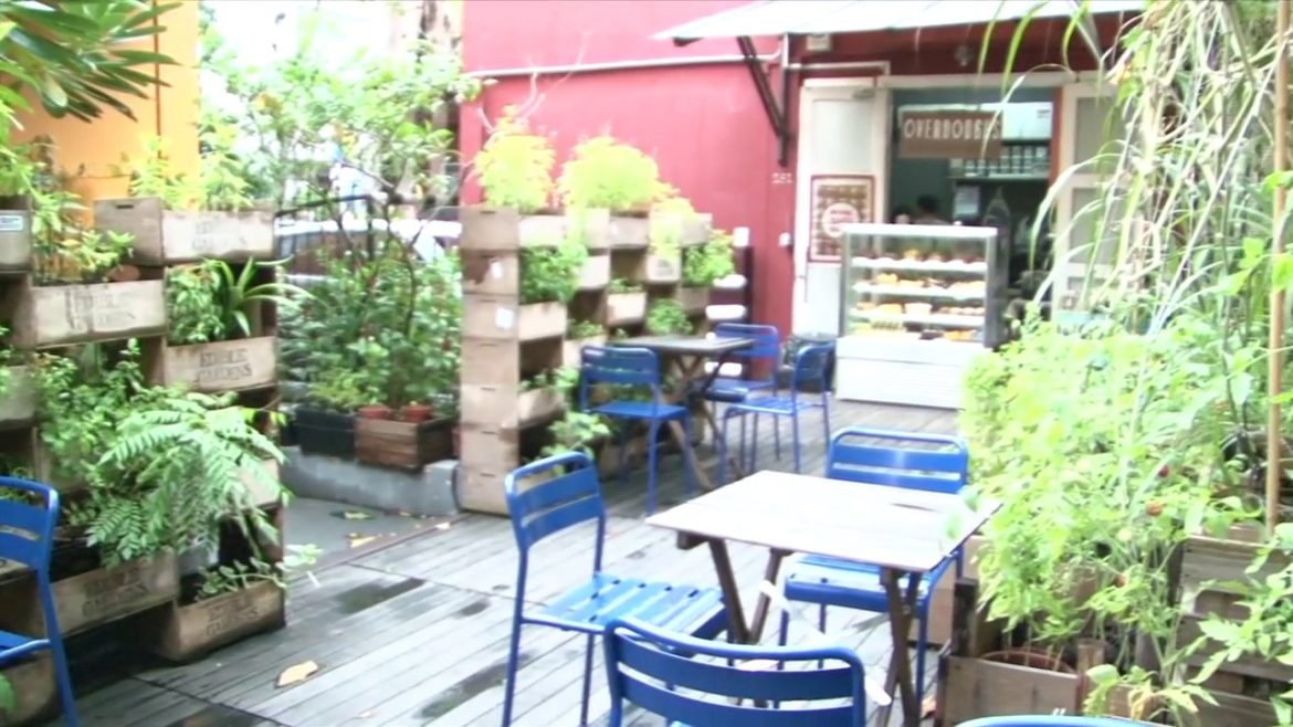 SINGAPORE: Edible Gardens