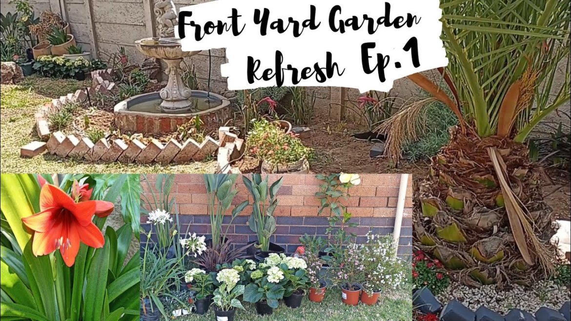 SPRING GARDEN REVAMP EPISODE 1 2022 @Lifestyle Home Garden  #homemade_by_sibo #roadto200subs #rsa