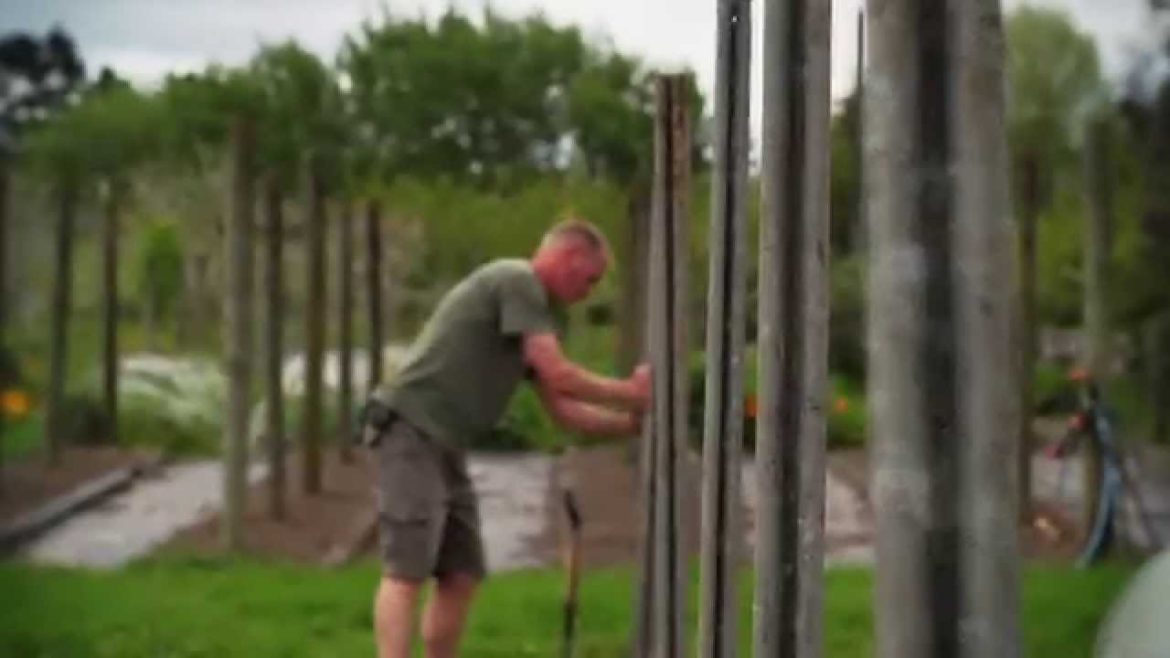 How to Plant Tomato Seedlings & Harvesting Broccoli | Organic Edible Garden