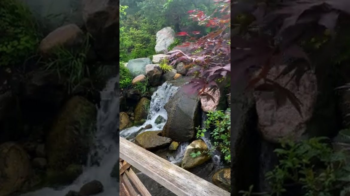 The Richard & Helen DeVos Japanese Garden