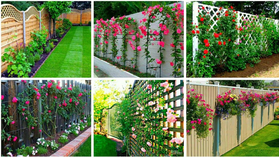50 Fence line landscaping ideas | Garden fence ideas | Garden fence plants | home & garden ideas