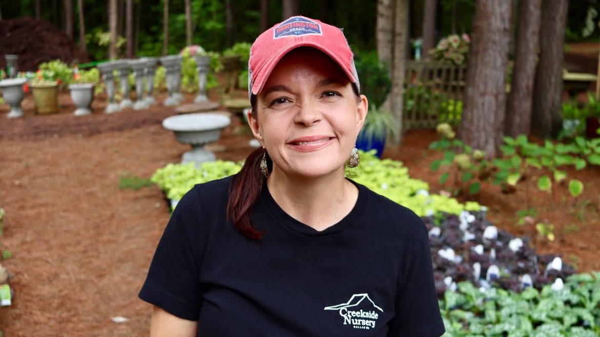 Unique Stone Has Arrived! | Gardening with Creekside