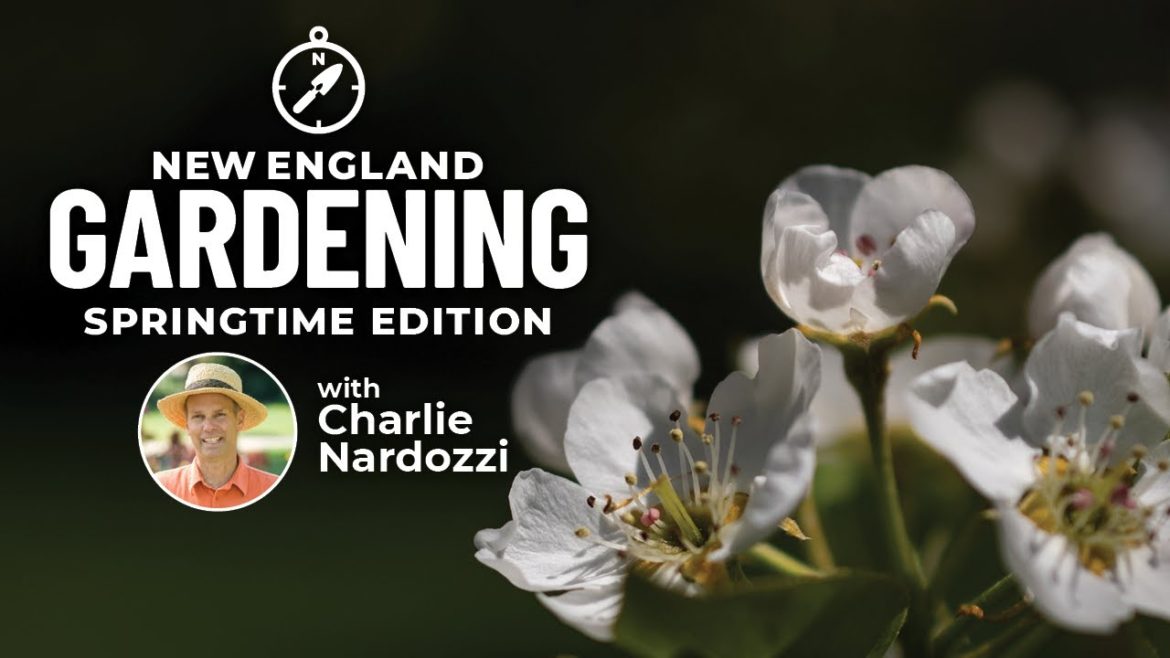 New England Gardening with Charlie Nardozzi Springtime Edition 2021 | Connecticut Public New England Gardening with Charlie Nardozzi Springtime Edition 2021 | Connecticut Public