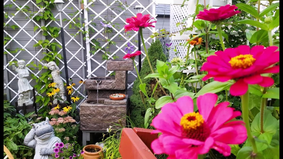 LATE SUMMER GARDEN TOUR | New Walkway | New Trellis and more plans for the garden