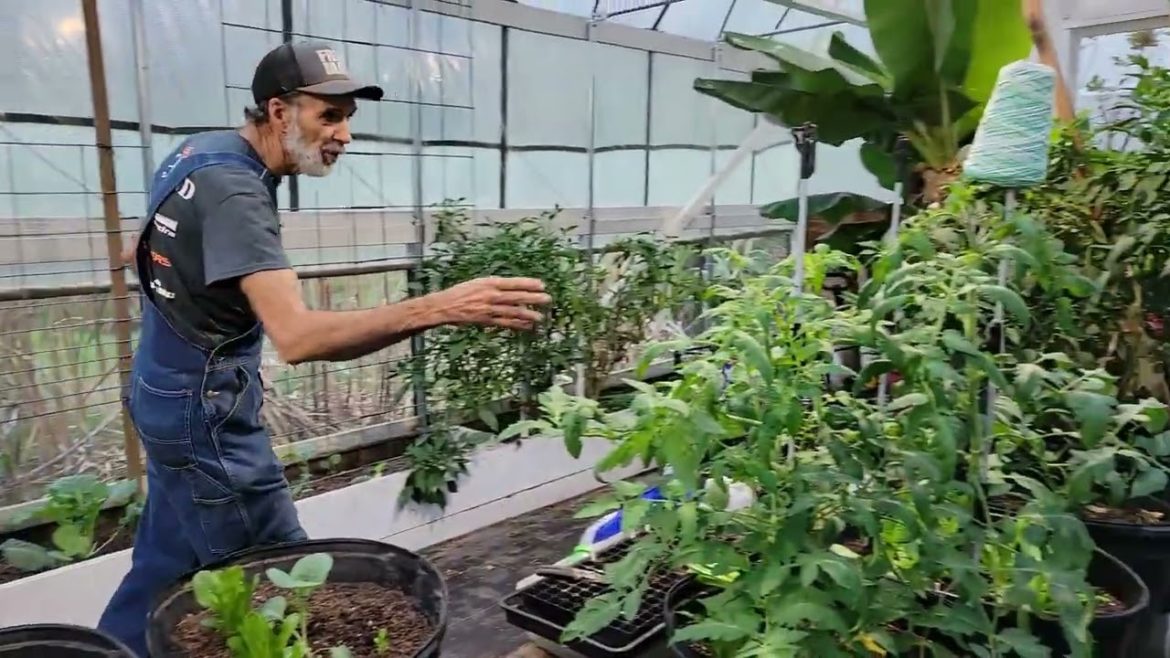 FUTURE Food Production FUTURE Food Production