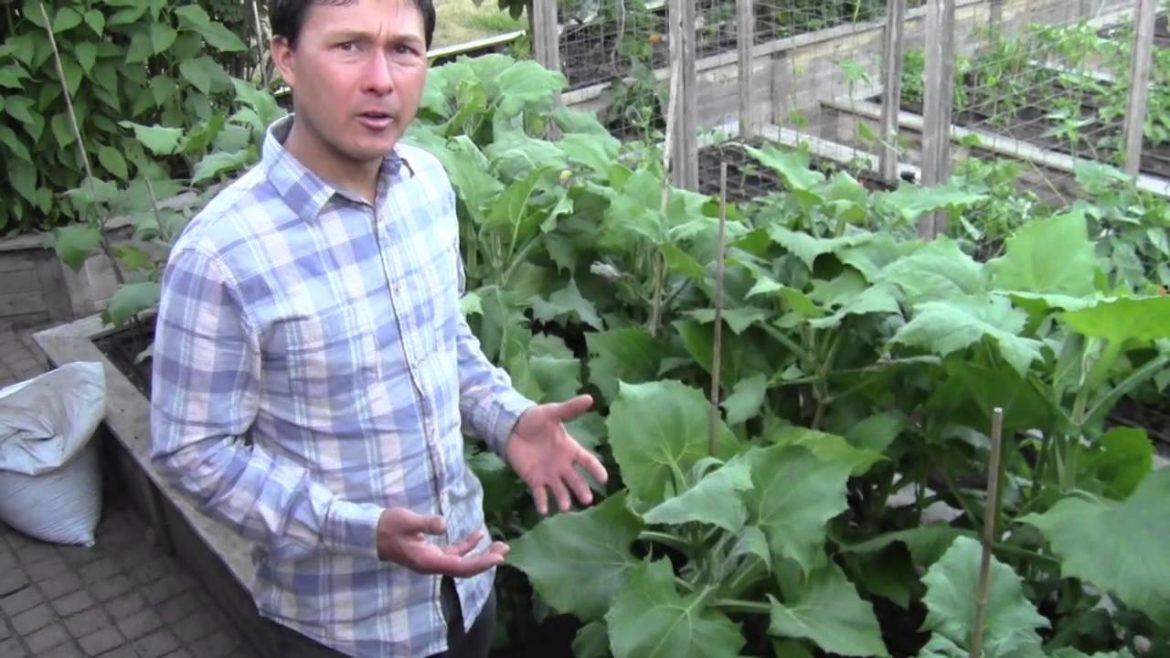 Front Yard Summer Edible Fruit & Vegetable Organic Garden Tour
