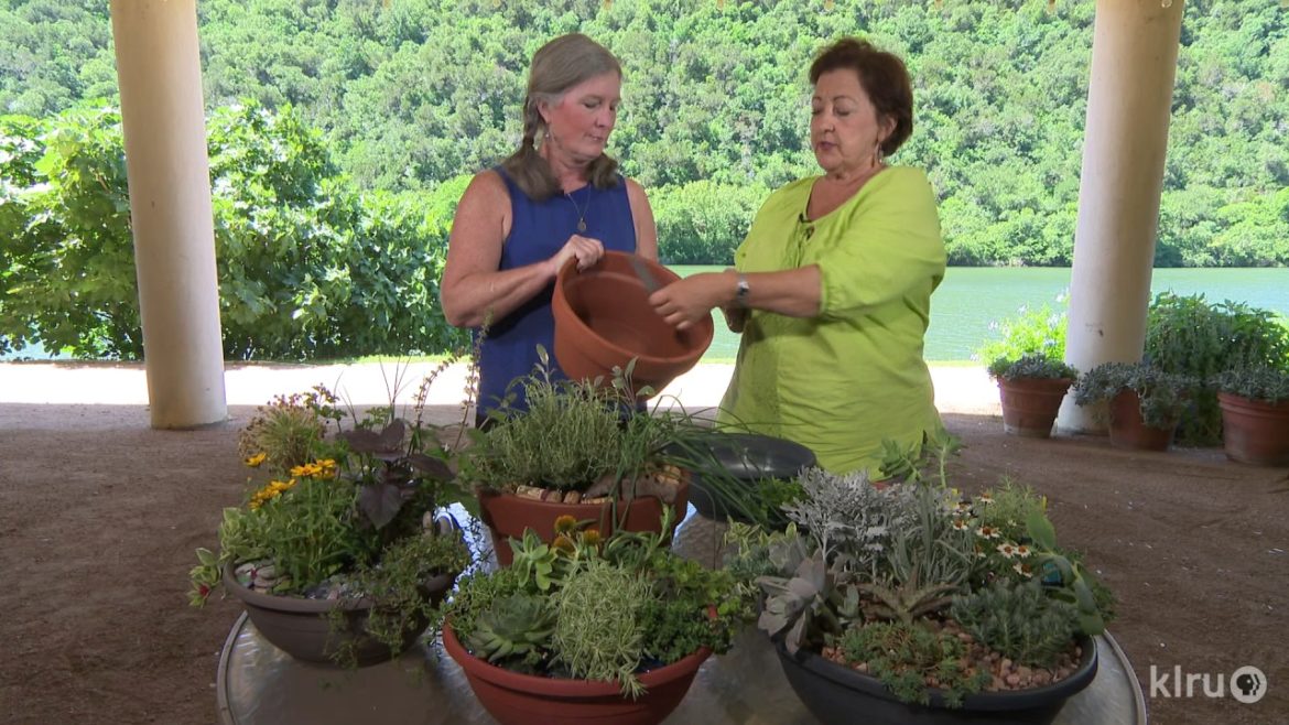 Creative Container Garden Design |Barbara Wise & Trisha Shirey |Central Texas Gardener