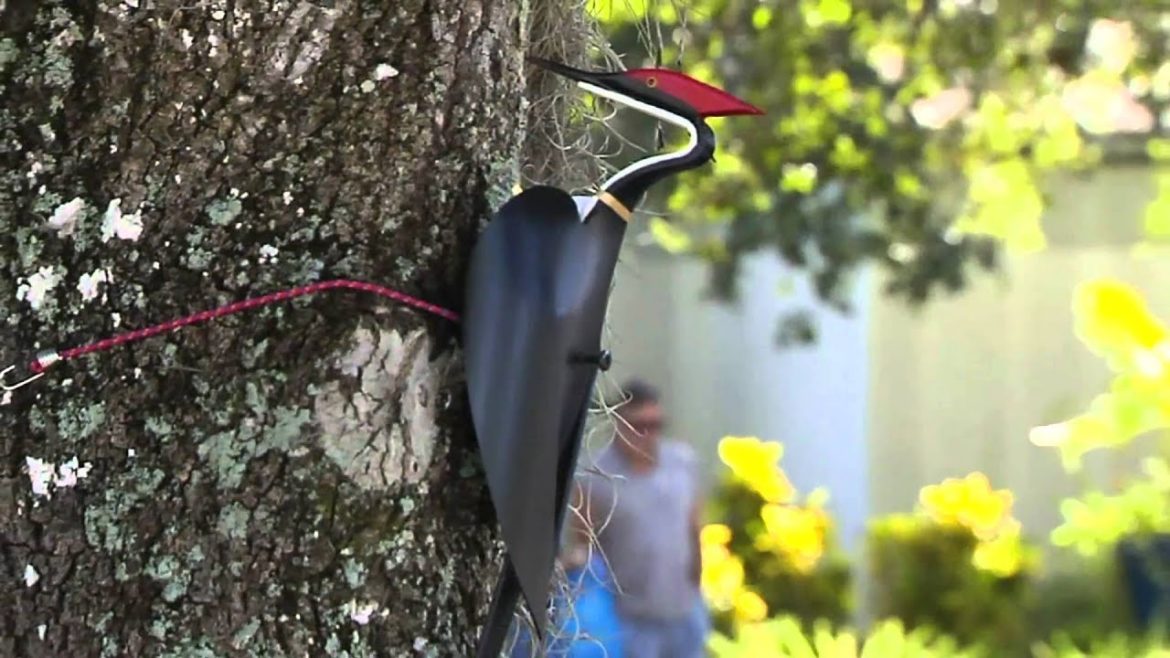 Master Gardener Master Gardener