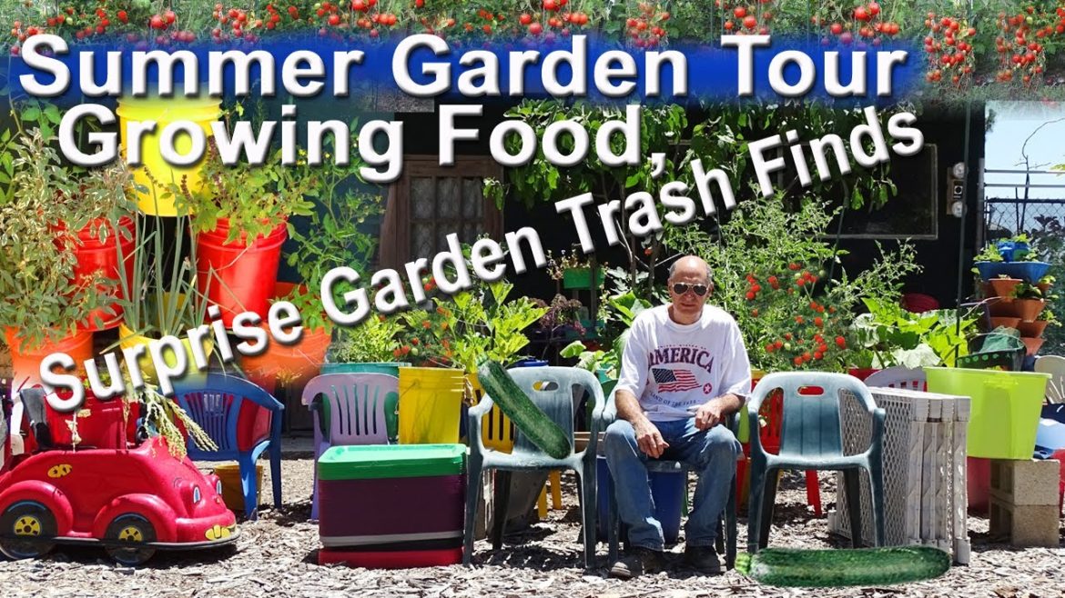 Growing Summer Vegetables Tomatoes Zucchini Elevated Raised Bed Container Gardening, Vertical Garden