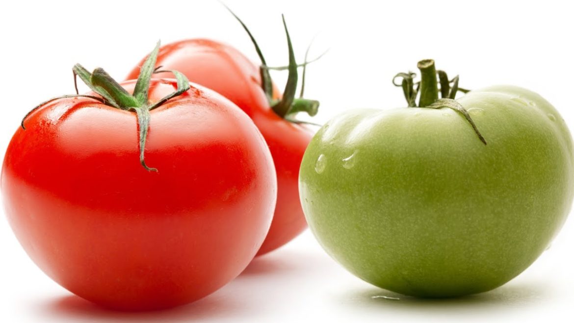 You Won't BELIEVE My Garden! Can Green Tomatoes Ripen? You Won't BELIEVE My Garden! Can Green Tomatoes Ripen?