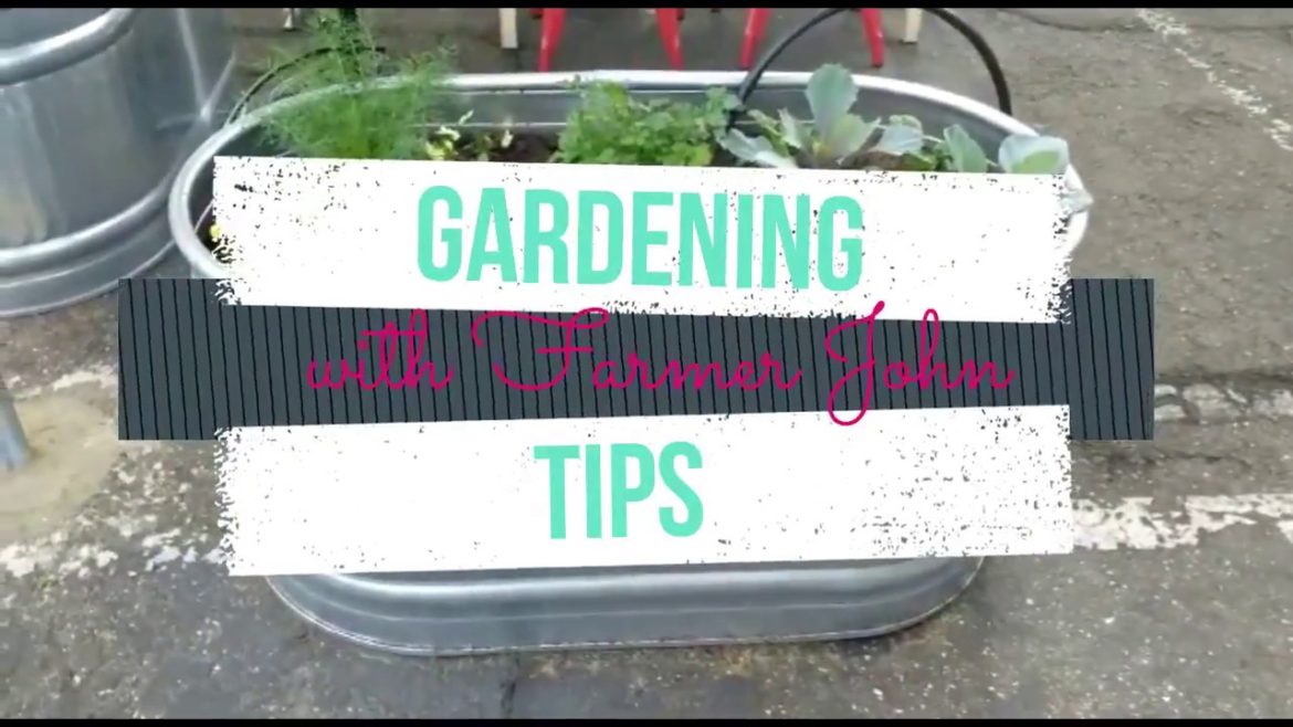 Container Gardening: Water Trough Container Gardening: Water Trough