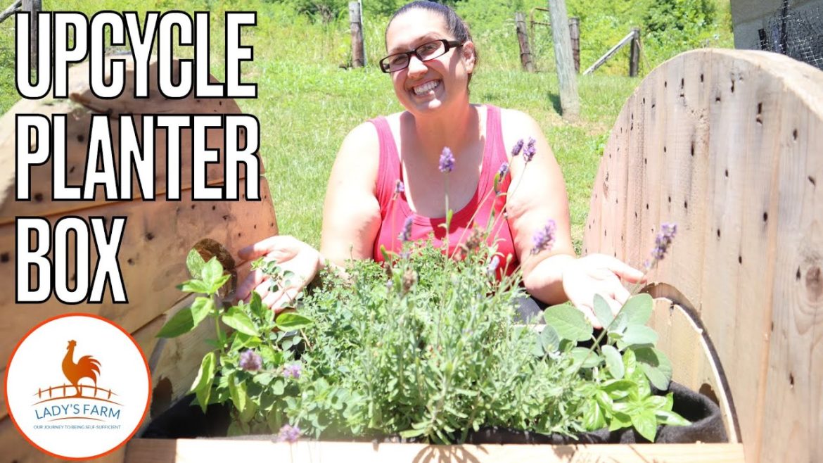 New DIY Planter For My Backyard Garden // Homesteading Planter Box