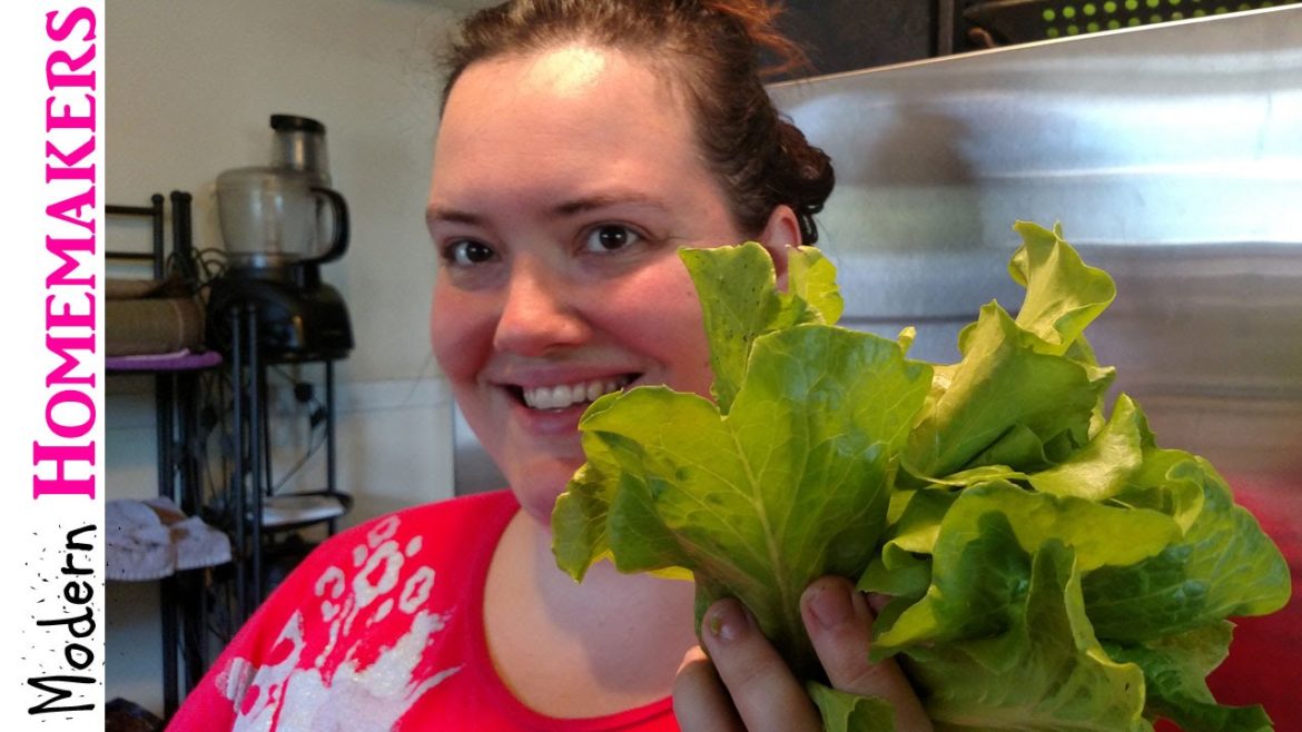 Front Yard Garden Update June 2015
