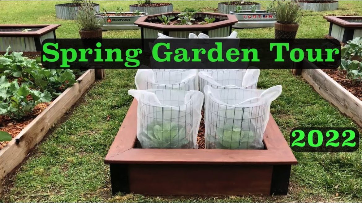 Vegetable Garden tour 2022 #gardentour   #springgarden