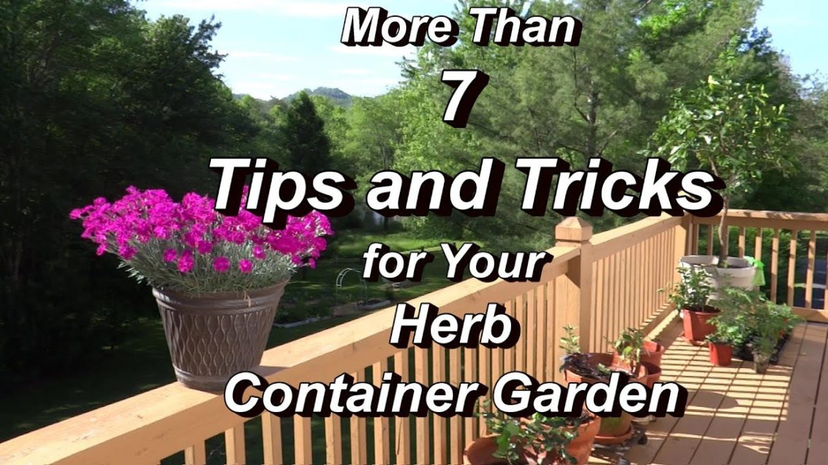More Than 7 Tips and Tricks for Your Herb Container Garden – Real Examples! More Than 7 Tips and Tricks for Your Herb Container Garden - Real Examples!
