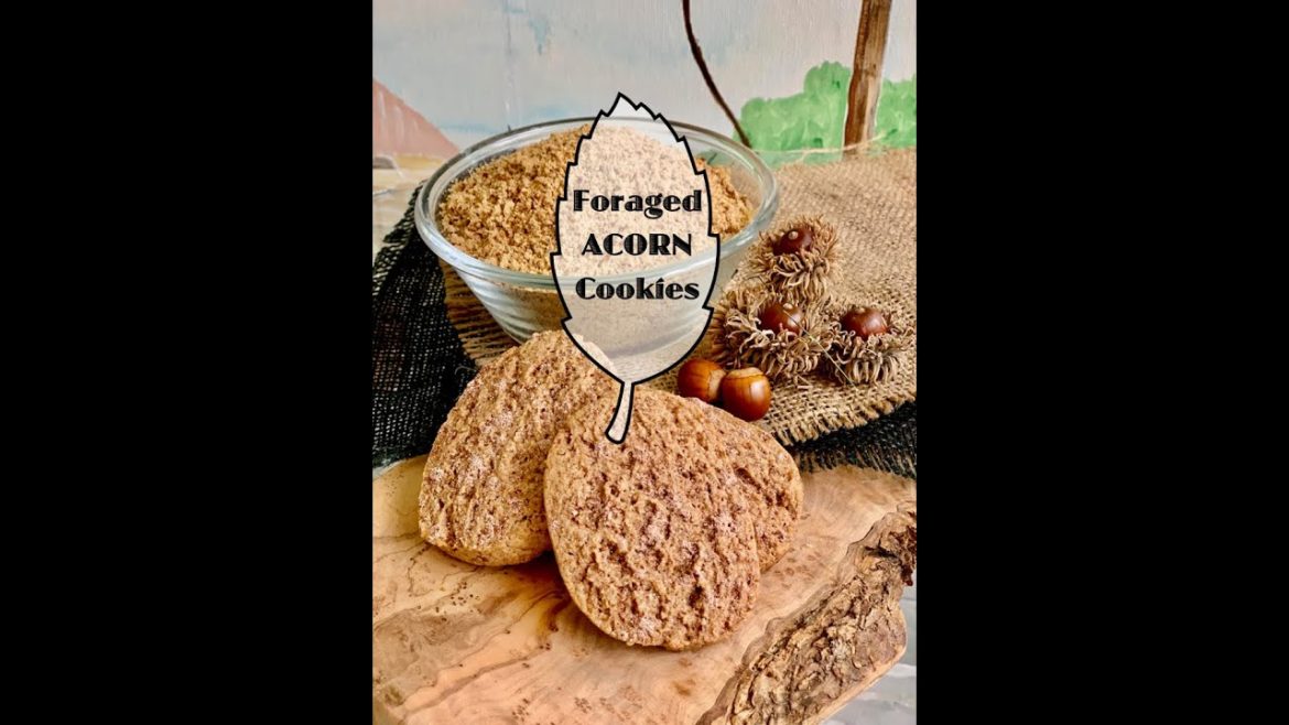 Foraged Acorn Cookies
