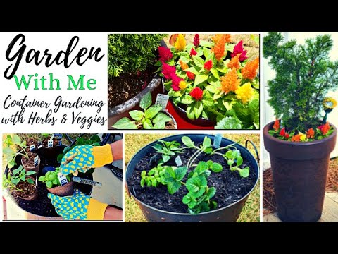Spring Gardening | Container Gardening for the First Time! π± Spring Gardening | Container Gardening for the First Time! π±