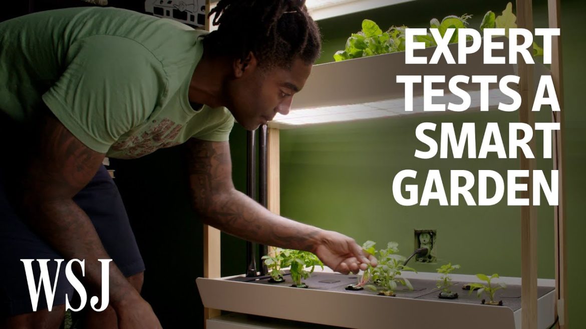 Can an Indoor Smart Garden Beat Outdoor Gardening? We Tested It | WSJ Can an Indoor Smart Garden Beat Outdoor Gardening? We Tested It | WSJ