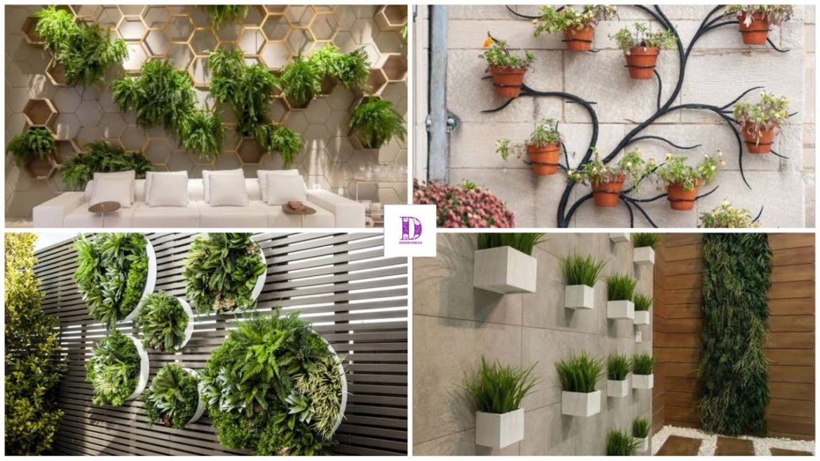 Wall garden design ideas || gardening on wall design || design ideas Wall garden design ideas || gardening on wall design || design ideas
