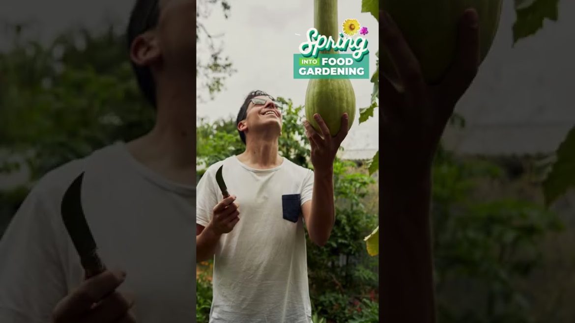 Enter our food gardening competition!