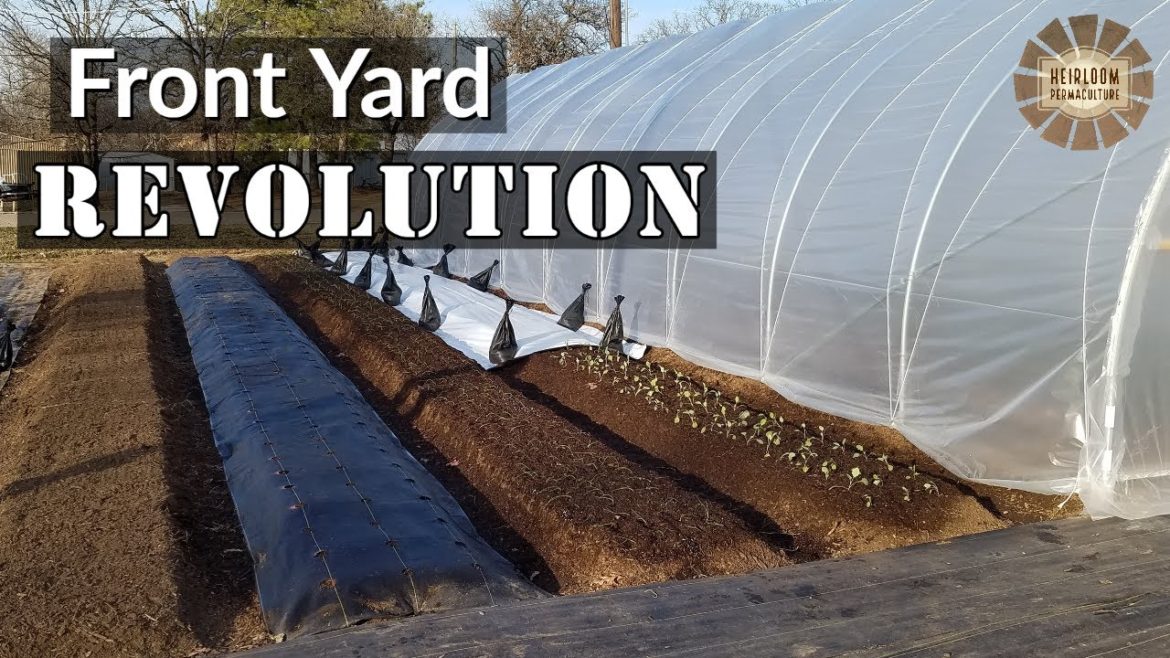 Front Yard Garden REVOLUTION | Heirloom Permaculture | Working to NEVER Buy Groceries We Can GROW