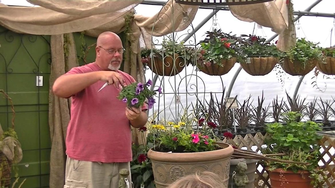 Summer Container Gardening