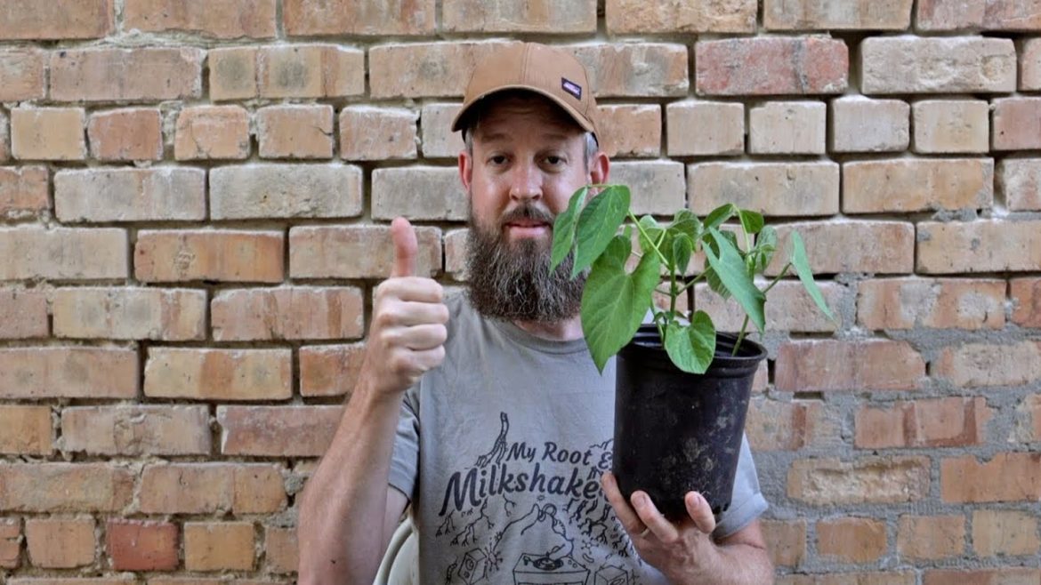 How to Test Manure for Grazon How to Test Manure for Grazon