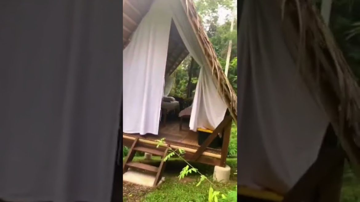 Garden Design, Home Garden #452 Simple New Viral Video,#Short