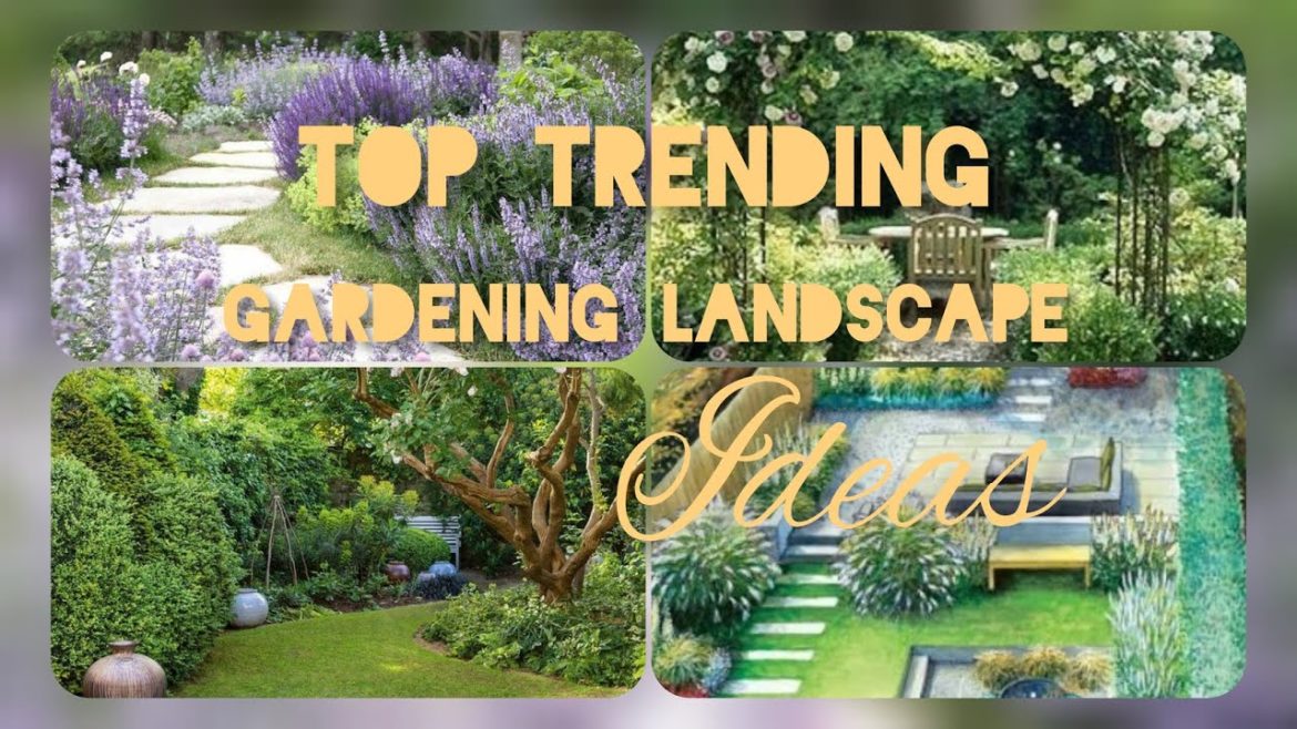 Landscape Design Ideas - Garden Design for Small Gardens I How To Design The Perfect Landscape