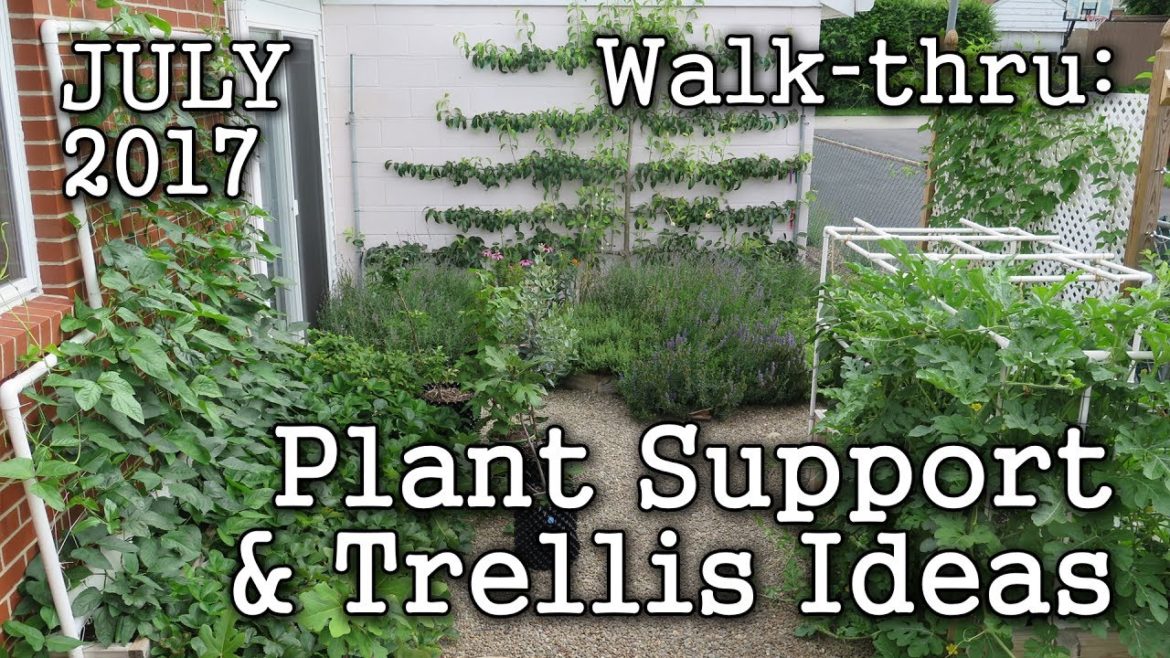 Trellis Plant Support Ideas + 2017 July Urban Garden, Edible Landscape -Albopepper Walk thru