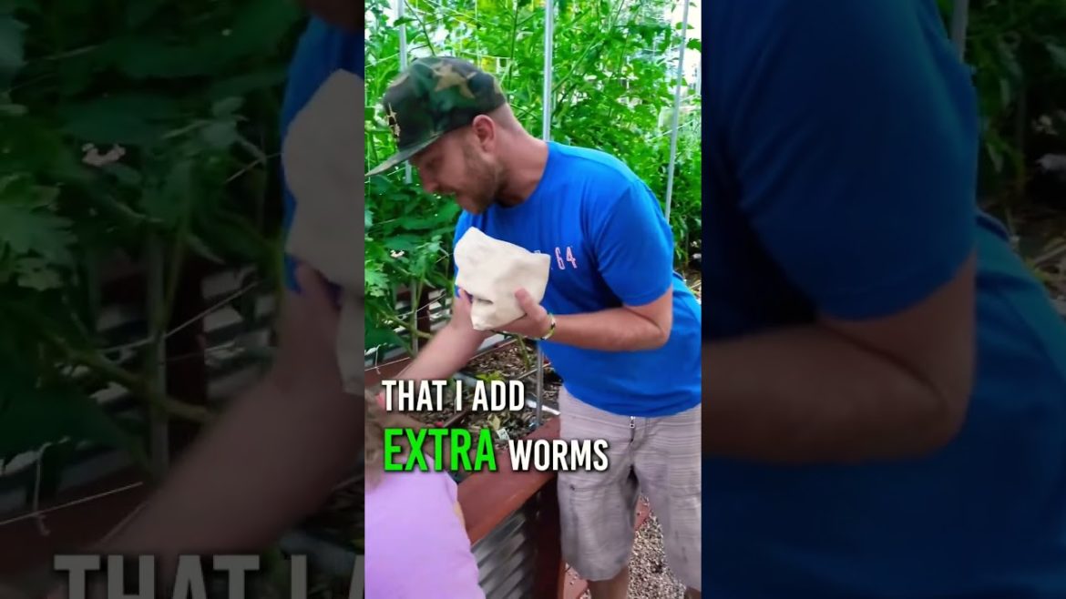 These lil’ guys do WONDERS for your garden 🔥 #igotworms #beneficialworms #backyardgarden