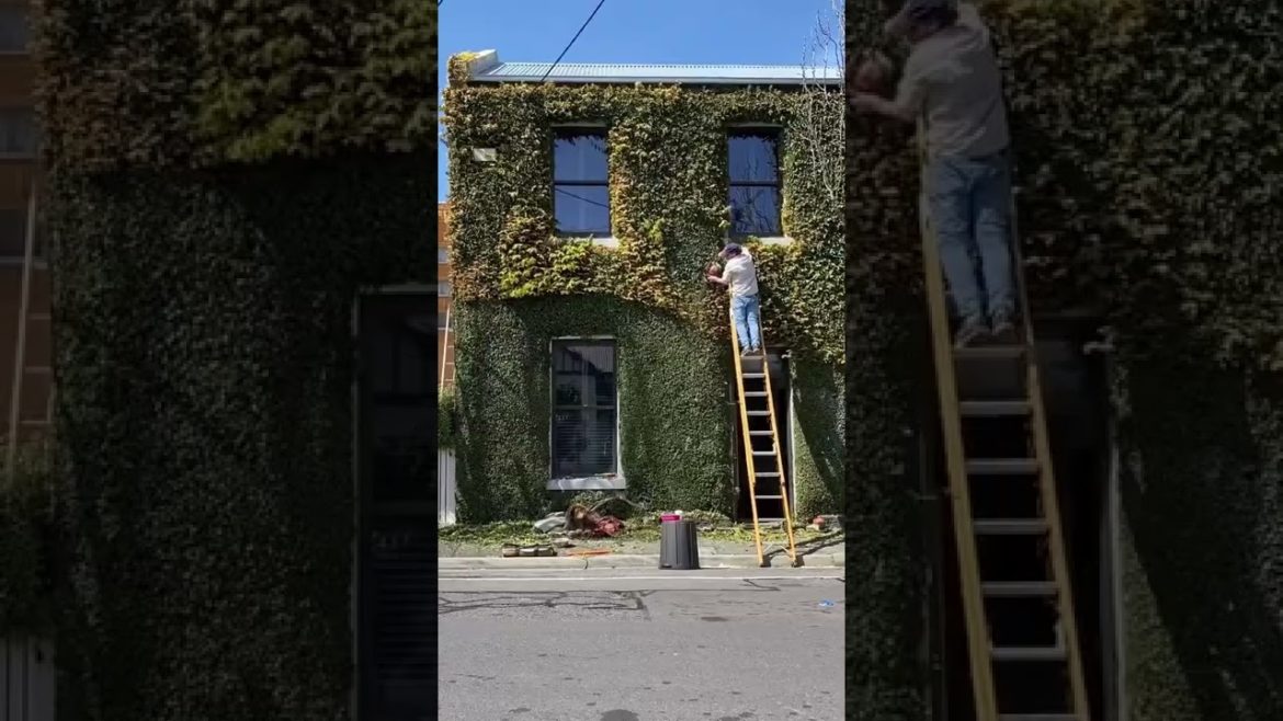 Happy Gardening, Enjoy the long weekend 🌿